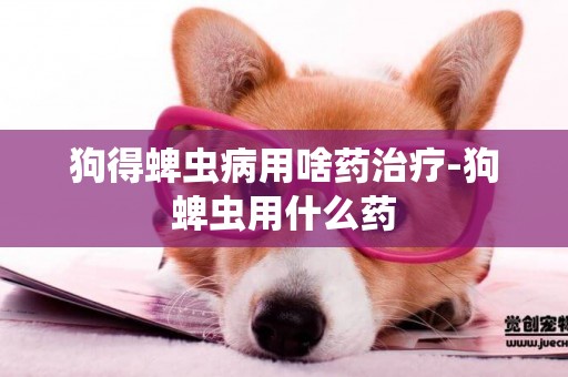 狗得蜱蟲病用啥藥治療-狗蜱蟲用什么藥