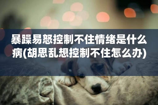暴躁易怒控制不住情緒是什么病(胡思亂想控制不住怎么辦) 