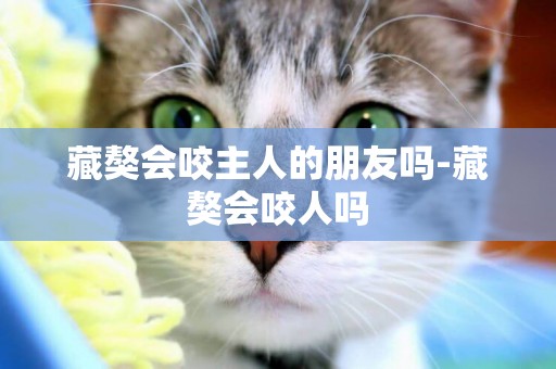 藏獒會咬主人的朋友嗎-藏獒會咬人嗎
