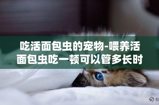 吃活面包蟲的寵物-喂養活面包蟲吃一頓可以管多長時間啊