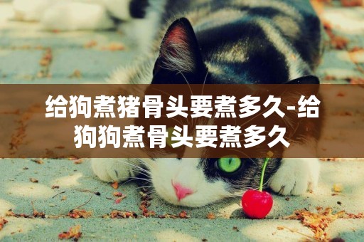 給狗煮豬骨頭要煮多久-給狗狗煮骨頭要煮多久