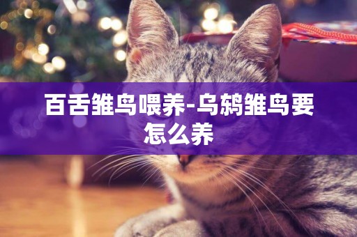 百舌雛鳥喂養-烏鶇雛鳥要怎么養