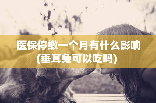 醫保停繳一個月有什么影響(垂耳兔可以吃嗎) 