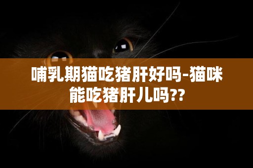 哺乳期貓吃豬肝好嗎-貓咪能吃豬肝兒嗎??