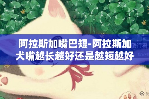 阿拉斯加嘴巴短-阿拉斯加犬嘴越長越好還是越短越好