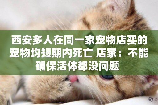 西安多人在同一家寵物店買的寵物均短期內死亡 店家：不能確保活體都沒問題 