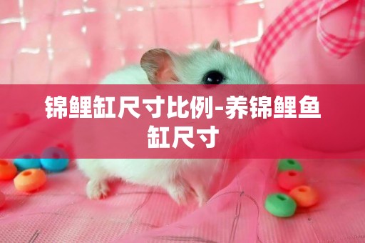 錦鯉缸尺寸比例-養錦鯉魚缸尺寸