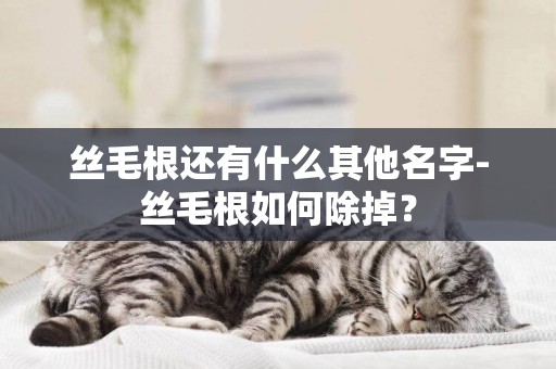 絲毛根還有什么其他名字-絲毛根如何除掉？