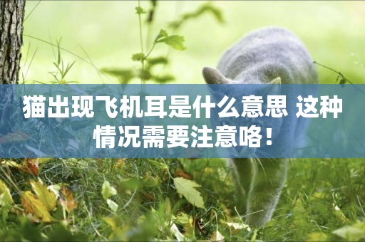 貓出現飛機耳是什么意思 這種情況需要注意咯！