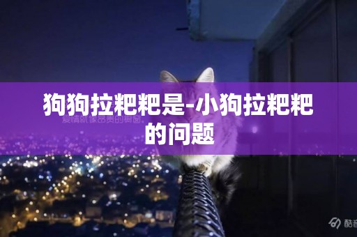 狗狗拉粑粑是-小狗拉粑粑的問題