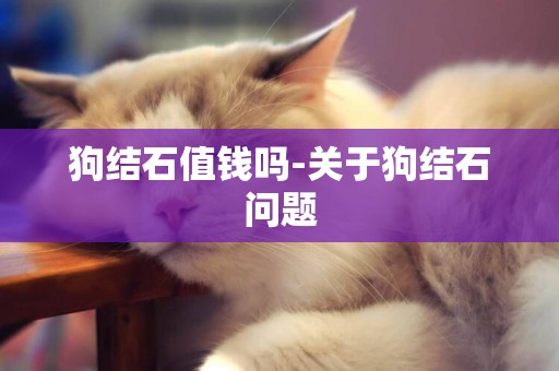 狗結石值錢嗎-關于狗結石問題