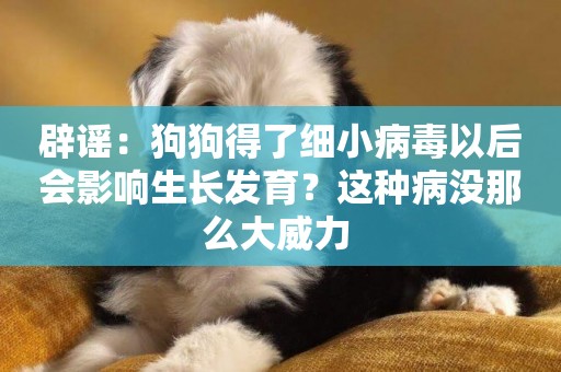辟謠：狗狗得了細小病毒以后會影響生長發育？這種病沒那么大威力 