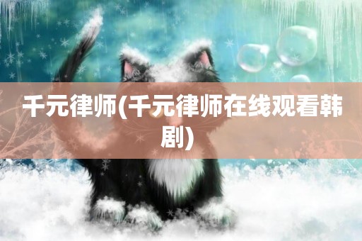 千元律師(千元律師在線觀看韓劇) 