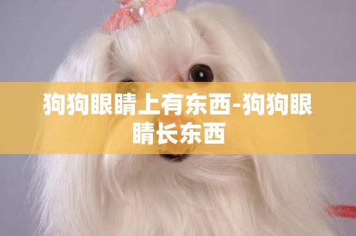 狗狗眼睛上有東西-狗狗眼睛長東西