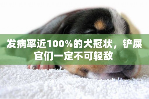 發病率近100%的犬冠狀，鏟屎官們一定不可輕敵 