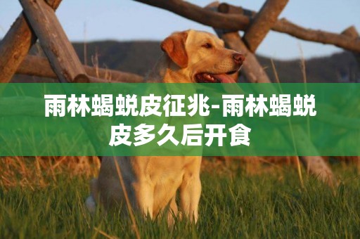 雨林蝎蛻皮征兆-雨林蝎蛻皮多久后開食