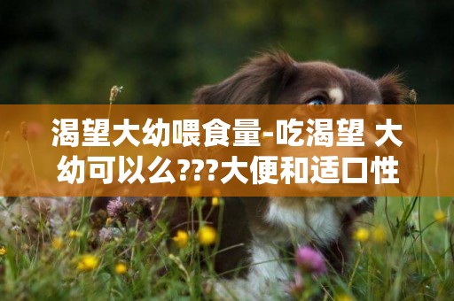 渴望大幼喂食量-吃渴望 大幼可以么???大便和適口性怎么樣???有經驗的來談下