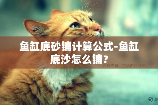 魚缸底砂鋪計算公式-魚缸底沙怎么鋪？