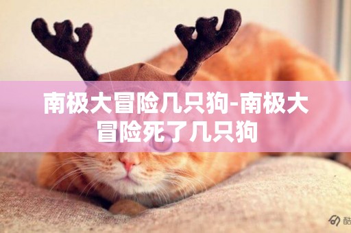 南極大冒險幾只狗-南極大冒險死了幾只狗