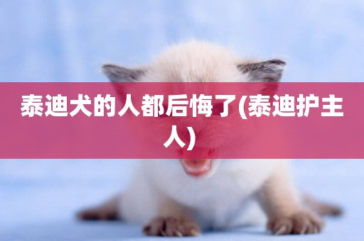 泰迪犬的人都后悔了(泰迪護主人) 