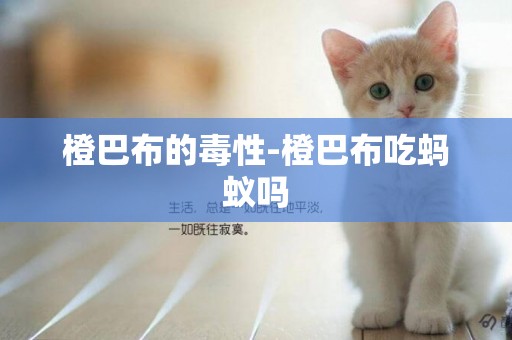 橙巴布的毒性-橙巴布吃螞蟻嗎