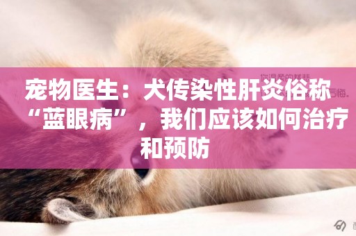 寵物醫生：犬傳染性肝炎俗稱“藍眼病”，我們應該如何治療和預防 