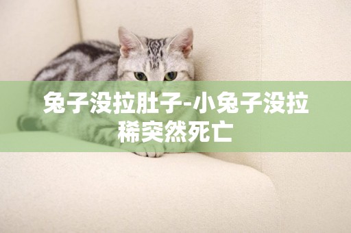 兔子沒拉肚子-小兔子沒拉稀突然死亡