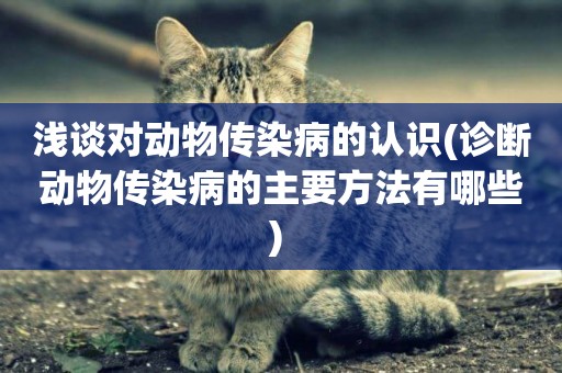 淺談對動物傳染病的認識(診斷動物傳染病的主要方法有哪些) 