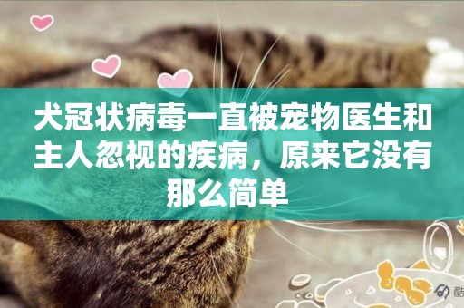 犬冠狀病毒一直被寵物醫生和主人忽視的疾病，原來它沒有那么簡單 