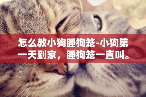 怎么教小狗睡狗籠-小狗第一天到家，睡狗籠一直叫。