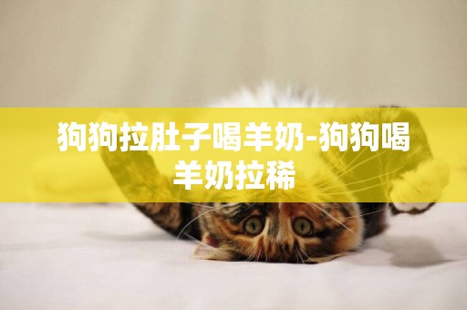 狗狗拉肚子喝羊奶-狗狗喝羊奶拉稀