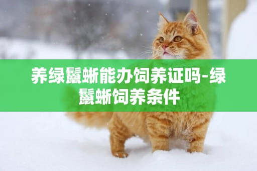 養綠鬣蜥能辦飼養證嗎-綠鬣蜥飼養條件