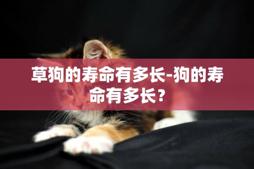 草狗的壽命有多長-狗的壽命有多長？