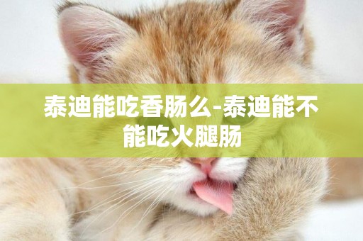 泰迪能吃香腸么-泰迪能不能吃火腿腸