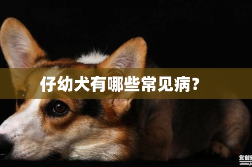 仔幼犬有哪些常見病？ 
