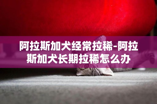 阿拉斯加犬經常拉稀-阿拉斯加犬長期拉稀怎么辦