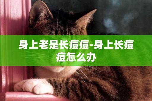 身上老是長痘痘-身上長痘痘怎么辦