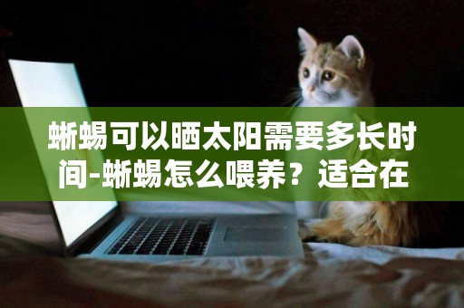 蜥蜴可以曬太陽需要多長時間-蜥蜴怎么喂養？適合在什么時間曬太陽？曬多久？