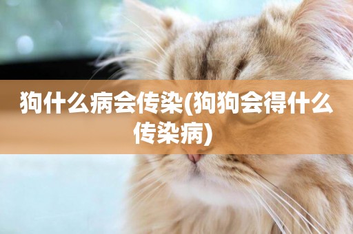 狗什么病會傳染(狗狗會得什么傳染病) 
