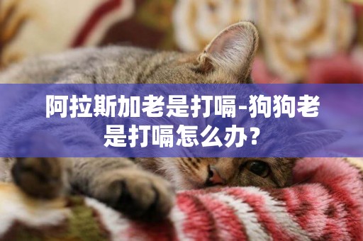 阿拉斯加老是打嗝-狗狗老是打嗝怎么辦？