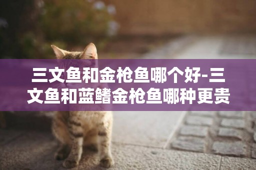 三文魚和金槍魚哪個好-三文魚和藍鰭金槍魚哪種更貴？