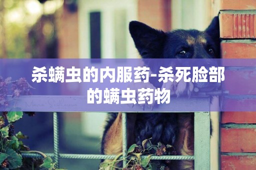 殺螨蟲的內服藥-殺死臉部的螨蟲藥物