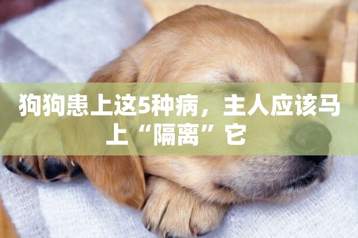 狗狗患上這5種病，主人應該馬上“隔離”它 