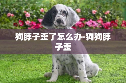 狗脖子歪了怎么辦-狗狗脖子歪