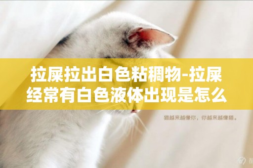 拉屎拉出白色粘稠物-拉屎經常有白色液體出現是怎么回事