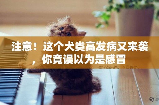 注意！這個犬類高發病又來襲，你竟誤以為是感冒 