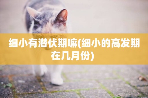 細小有潛伏期嘛(細小的高發期在幾月份) 