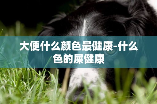 大便什么顏色最健康-什么色的屎健康