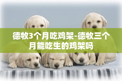 德牧3個月吃雞架-德牧三個月能吃生的雞架嗎