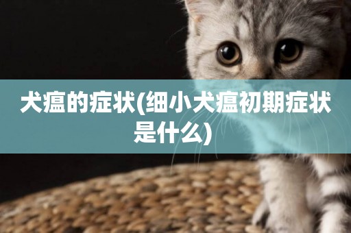 犬瘟的癥狀(細小犬瘟初期癥狀是什么) 